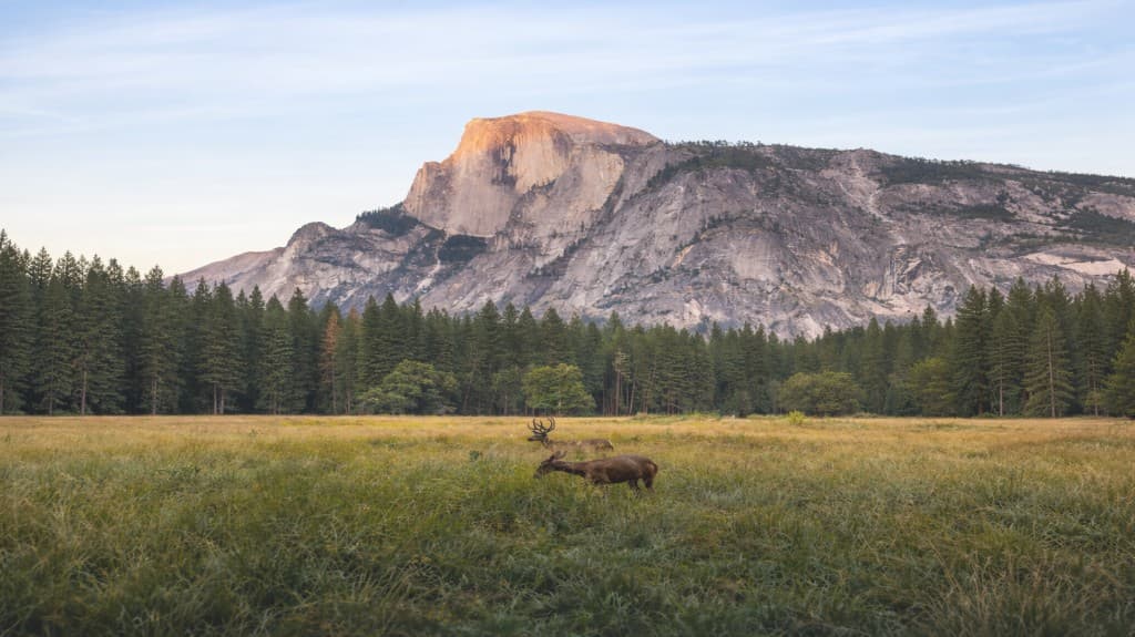 Balanced Clarity - Protected